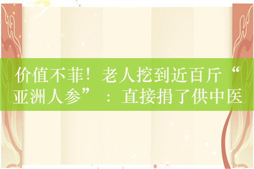 价值不菲！老人挖到近百斤“亚洲人参” ：直接捐了供中医研究用