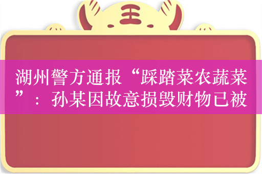 湖州警方通报“踩踏菜农蔬菜”：孙某因故意损毁财物已被行拘