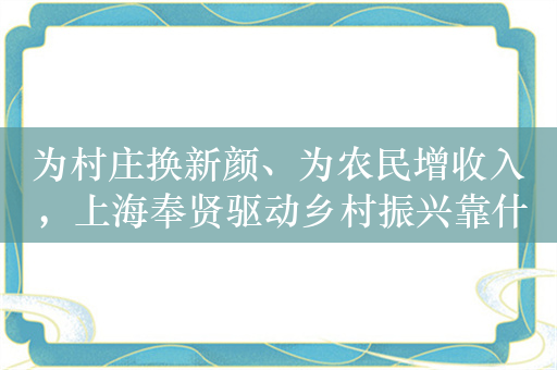 为村庄换新颜、为农民增收入，上海奉贤驱动乡村振兴靠什么？