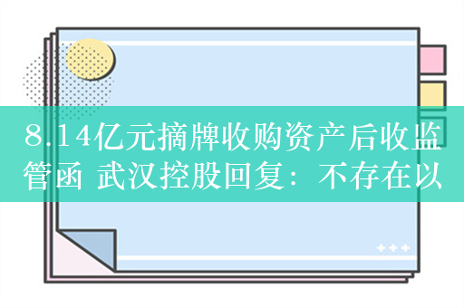 8.14亿元摘牌收购资产后收监管函 武汉控股回复：不存在以资抵债