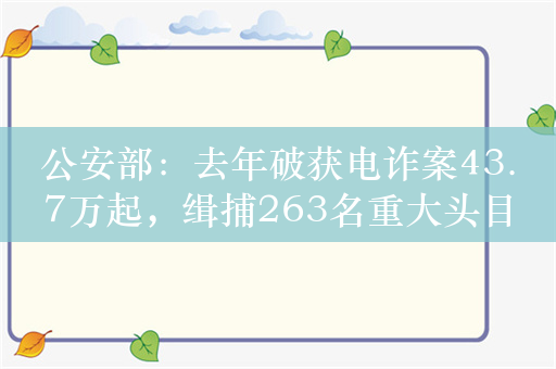 公安部：去年破获电诈案43.7万起，缉捕263名重大头目