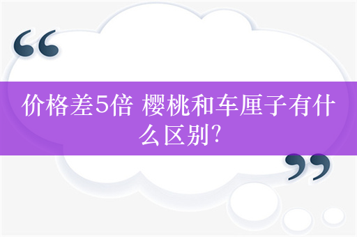 价格差5倍 樱桃和车厘子有什么区别？