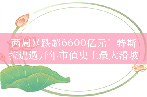 两周暴跌超6600亿元！特斯拉遭遇开年市值史上最大滑坡