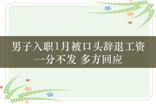 男子入职1月被口头辞退工资一分不发 多方回应