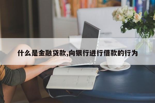 什么是金融贷款,向银行进行借款的行为