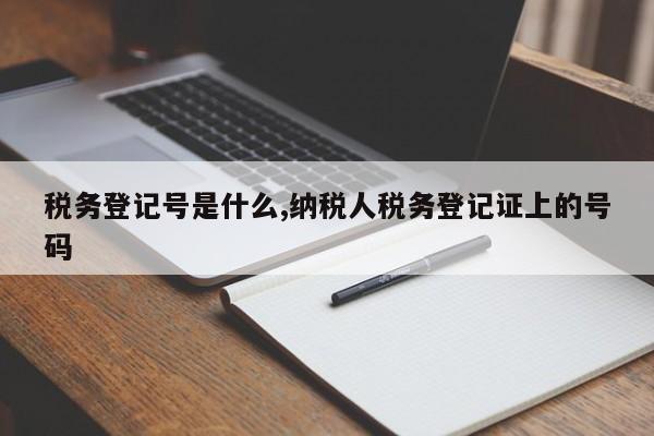 税务登记号是什么,纳税人税务登记证上的号码