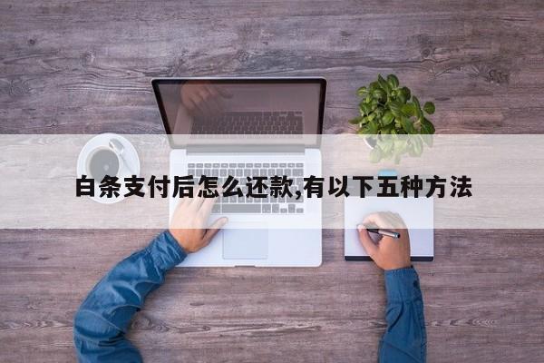 白条支付后怎么还款,有以下五种方法