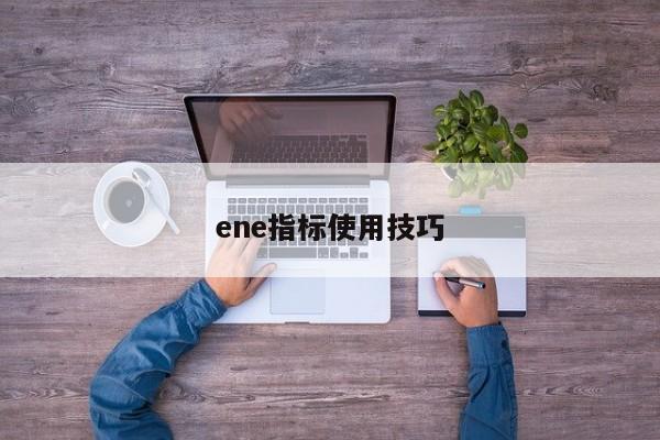 ene指标使用技巧