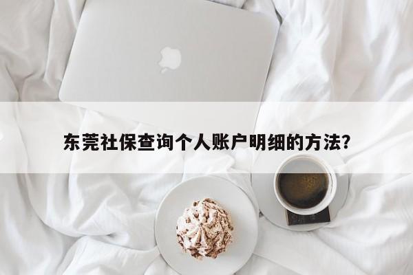 东莞社保查询个人账户明细的方法？