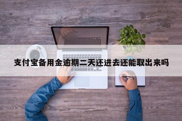 支付宝备用金逾期二天还进去还能取出来吗