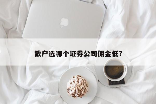 散户选哪个证券公司佣金低?