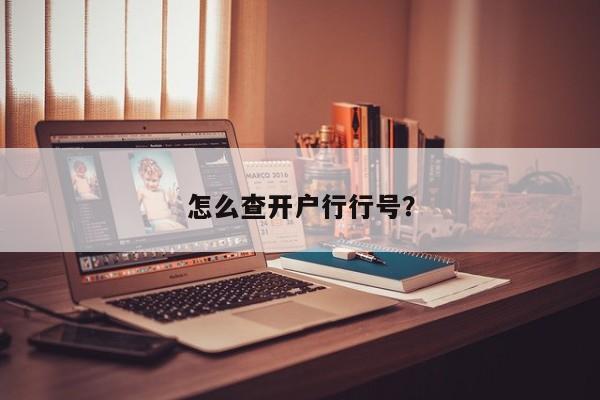 怎么查开户行行号？