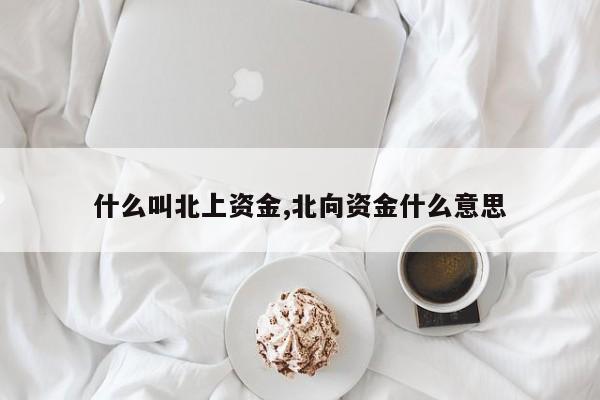 什么叫北上资金,北向资金什么意思