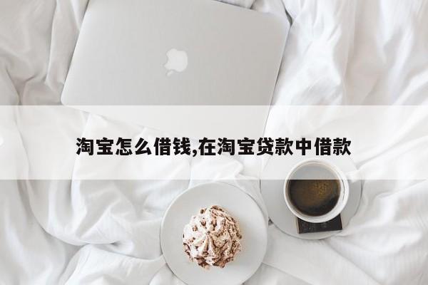 淘宝怎么借钱,在淘宝贷款中借款