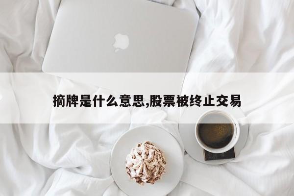 摘牌是什么意思,股票被终止交易