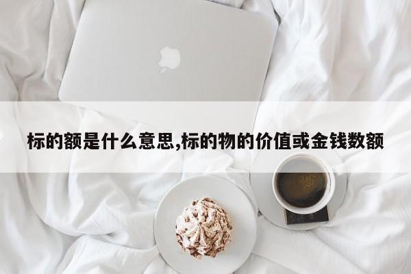 标的额是什么意思,标的物的价值或金钱数额