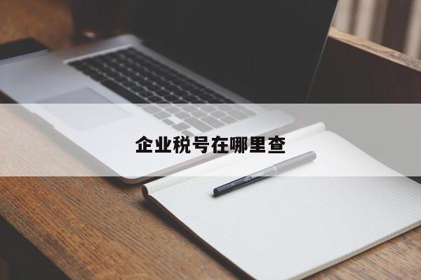 企业税号在哪里查