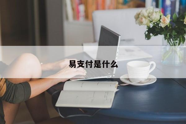 易支付是什么